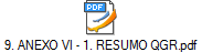9. ANEXO VI - 1. RESUMO QGR.pdf